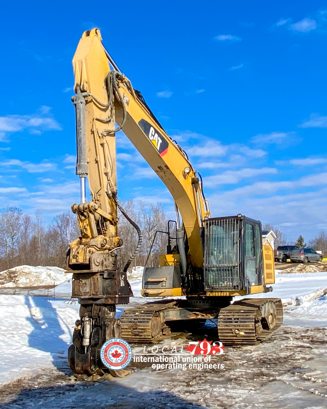 Members Spotlight with Logo - Billie Holland (2)