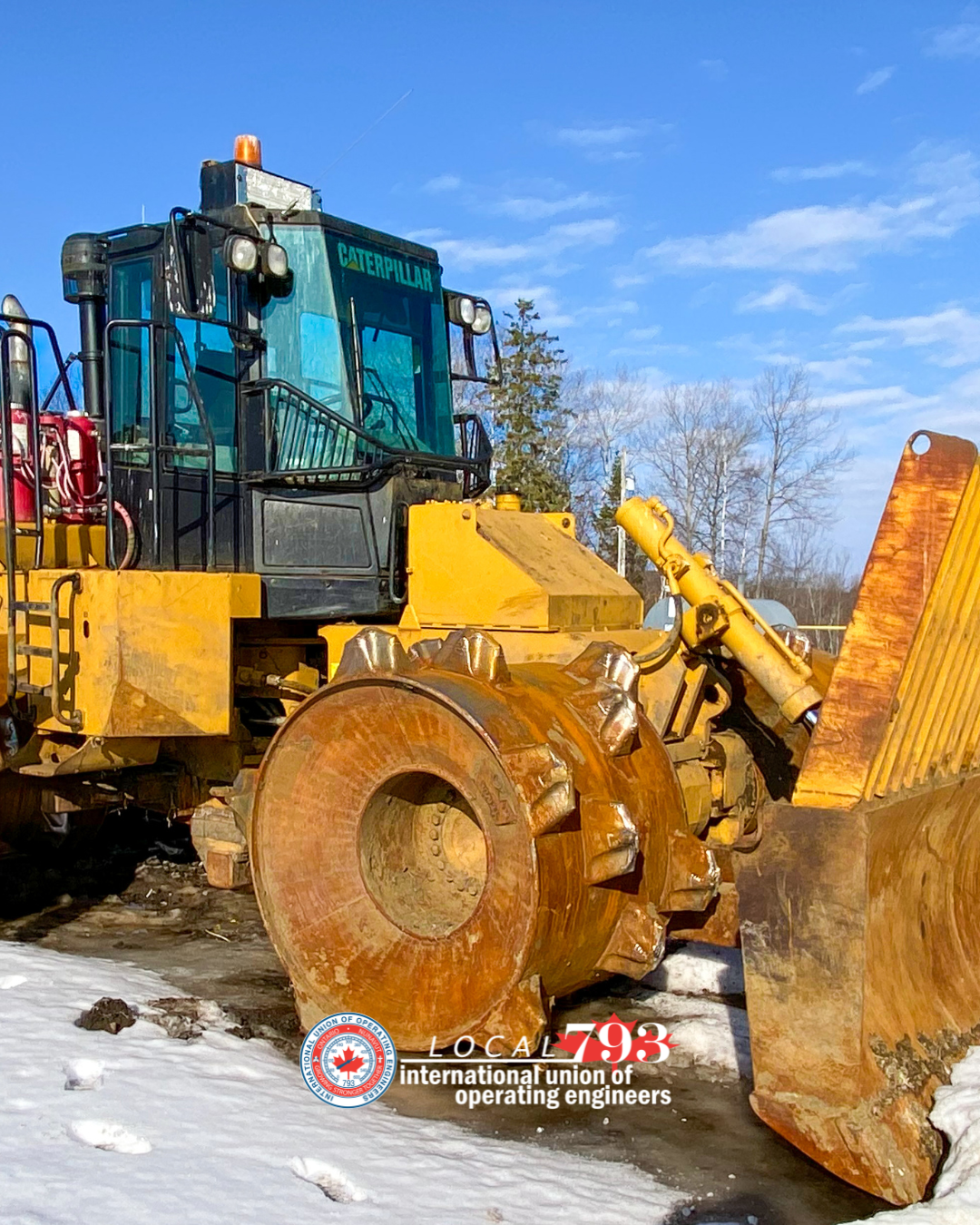 Members Spotlight with Logo - Billie Holland