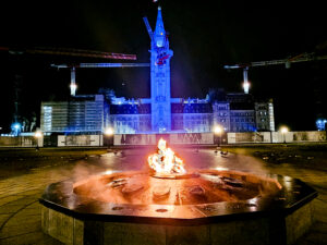 Parliament-cranes-3-2