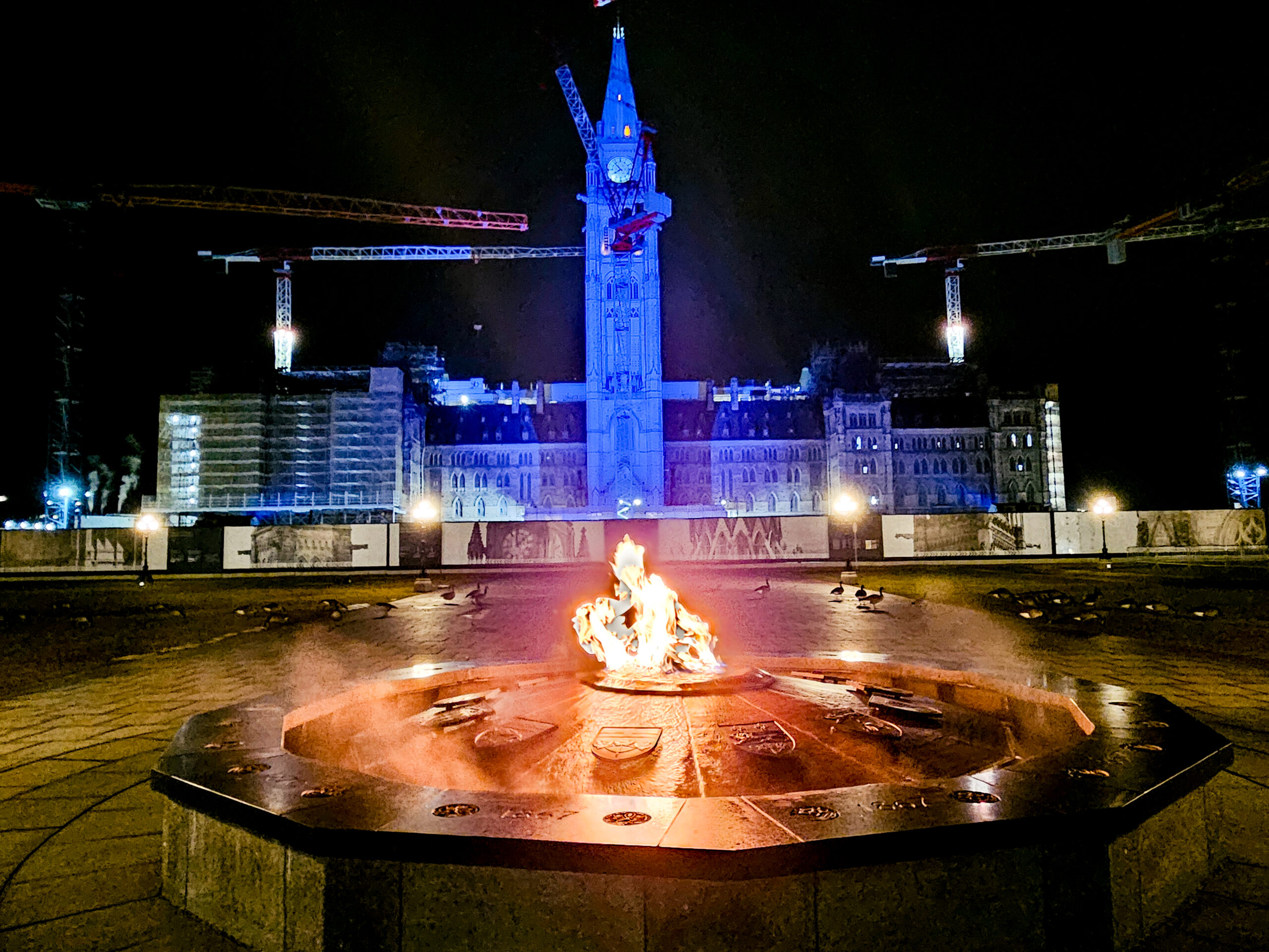 Parliament-cranes-3-2