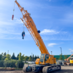 Apprentice - Joshua Laur - Button